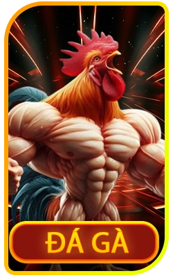 đá gà