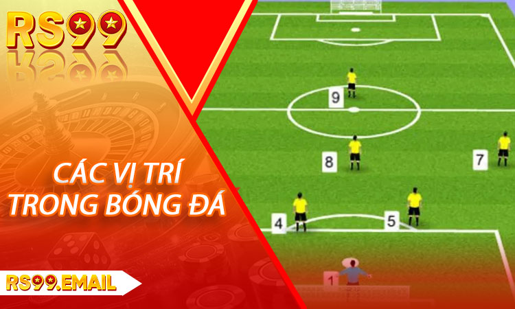 Tổng hợp các vị trí trong bóng đá